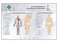 Электрифицированный стенд "Остановка кровотечения" - fgospostavki.ru - Мурманск