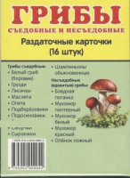 Раздаточные карточки "Грибы съедобные и не съедобные" - fgospostavki.ru - Мурманск