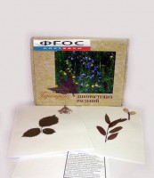 Гербарий "Дикорастущие растения" (28 видов) - fgospostavki.ru - Мурманск