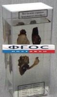 Влажный препарат "Внутреннее строение брюхоногого моллюска" - fgospostavki.ru - Мурманск