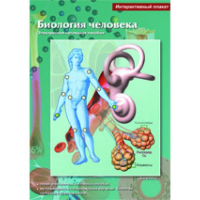 Интерактивные плакаты. Биология человека. Программно-методический комплекс - fgospostavki.ru - Мурманск
