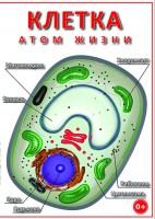 DVD "Клетка - "атом жизни" - fgospostavki.ru - Мурманск