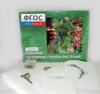 Гербарий "Основные группы растений" (52 листа) - fgospostavki.ru - Мурманск