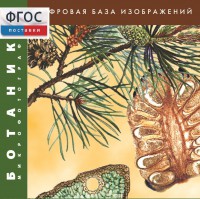 Ботаника. Микрофотографии. (Цифровая база изображений) - fgospostavki.ru - Мурманск