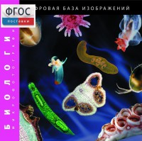 Биология. Микрофотографии. (Цифровая база изображений) - fgospostavki.ru - Мурманск