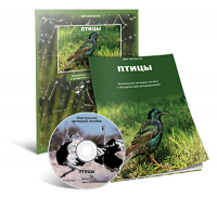 Электронное наглядное пособие «Птицы» - fgospostavki.ru - Мурманск