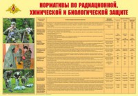 Плакат "Нормативы по радиационной, химической и биологической защите" - fgospostavki.ru - Мурманск