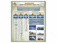Стенд "Структура Вооруженных сил Российской Федерации" Вариант 1 - fgospostavki.ru - Мурманск