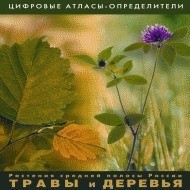 Растения средней полосы России "Травы и Деревья". (Цифровые атласы-определители) - fgospostavki.ru - Мурманск