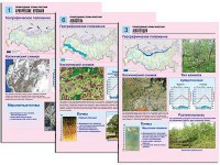 Комплект таблиц по географии "Природные зоны России" раздаточные (цветные, ламинированные, А4, 10 штук) - fgospostavki.ru - Мурманск