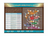 Интерактивный электрифицированный стенд "Эволюция животного мира" - fgospostavki.ru - Мурманск