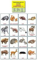 Раздаточные карточки "Дикие животные (1)" - fgospostavki.ru - Мурманск