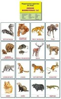 Раздаточные карточки "Дикие животные (2)" - fgospostavki.ru - Мурманск