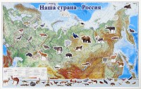 Магнитные карточки "Животные" - fgospostavki.ru - Мурманск