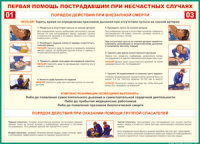 Таблица "Порядок действий при внезапной смерти" (100х140 сантиметров, винил) - fgospostavki.ru - Мурманск