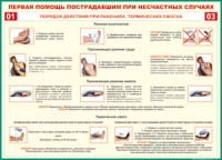 Таблица "Порядок действий при ранениях и термических ожогах" (100х140 сантиметров, винил) - fgospostavki.ru - Мурманск