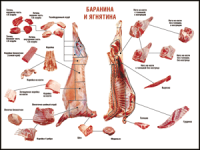 Таблица "Правила разделки мясных туш. Баранина и ягнятина" (100х140 сантиметров, винил) - fgospostavki.ru - Мурманск