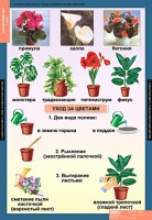 Комплект таблиц. Окружающий мир 1 класс. - fgospostavki.ru - Мурманск
