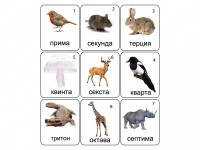 Набор магнитных карточек по музыке "Животные" (9 штук) - fgospostavki.ru - Мурманск