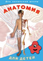 DVD "Анатомия для детей" - fgospostavki.ru - Мурманск
