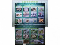 Комбинированный модульный комплекс "Лого-биолог" - fgospostavki.ru - Мурманск