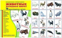 Демонстрационные карточки "Животные холодных широт" - fgospostavki.ru - Мурманск