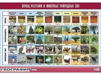 Таблица демонстрационная "Почвы, растения и животные природных зон" (винил 100*140) - fgospostavki.ru - Мурманск