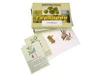 Гербарий "Для начальной школы" (30 видов, с иллюстрациями) - fgospostavki.ru - Мурманск