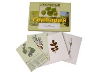 Гербарий "Деревья и кустарники" (22 вида, с иллюстрациями) - fgospostavki.ru - Мурманск