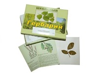Гербарий "Дикорастущие растения" (30 видов, с иллюстрациями) - fgospostavki.ru - Мурманск