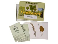 Гербарий "Лекарственные растения" (22 вида с иллюстрациями) - fgospostavki.ru - Мурманск