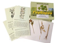 Гербарий "Систематика растений. Семейство Бобовые. Злаки" (раздаточный) - fgospostavki.ru - Мурманск