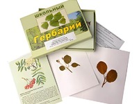 Гербарий "Систематика растений. Семейство Розоцветные" (раздаточный) - fgospostavki.ru - Мурманск