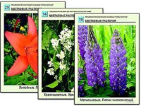 Гербарий фотографический "Основные группы растений" - fgospostavki.ru - Мурманск