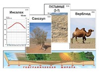 Модель-аппликация "Природные зоны" - fgospostavki.ru - Мурманск