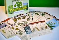 Гербарий к курсу основ общей биологии - fgospostavki.ru - Мурманск