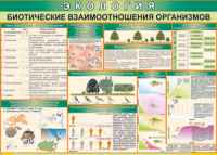 Таблица "Биотические взаимоотношения организмов" (100х140 сантиметров, винил) - fgospostavki.ru - Мурманск