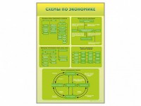 Стенды "Схемы по экономике" - fgospostavki.ru - Мурманск