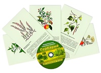 Интерактивный наглядный комплекс "Гербарий "Для начальной школы" - fgospostavki.ru - Мурманск