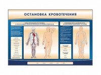 Электрифицированный стенд-тренажер "Остановка кровотечения" - fgospostavki.ru - Мурманск