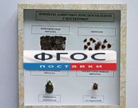 Коллекция энтомологическая "Примеры защитных приспособлений у насекомых" - fgospostavki.ru - Мурманск