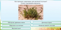 Интерактивные курсы. Окружающий мир 3 класс . Базовый. - fgospostavki.ru - Мурманск