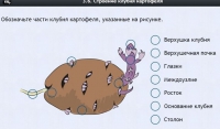 Интерактивные курсы. Биология 6 класс. Расширенный - fgospostavki.ru - Мурманск