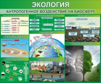 Стенд "Экология. Антропогенное воздействие на биосферу" - fgospostavki.ru - Мурманск