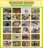 Стенд "Красная книга - млекопитающие" - fgospostavki.ru - Мурманск