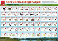 Стенд "Красная книга РФ" - fgospostavki.ru - Мурманск