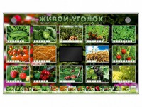 Комплект оборудования "Живой уголок" (растения) - fgospostavki.ru - Мурманск