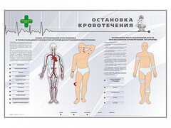 Электрифицированный стенд "Остановка кровотечения" - fgospostavki.ru - Мурманск