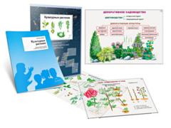 Комплект кодотранспарантов "Культурные растения" - fgospostavki.ru - Мурманск