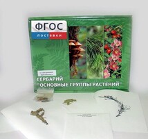 Гербарий "Основные группы растений" (52 листа) - fgospostavki.ru - Мурманск